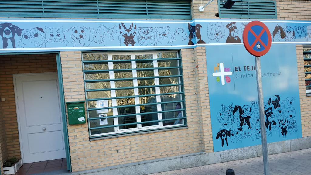Clinica Veterinaria El Tejar