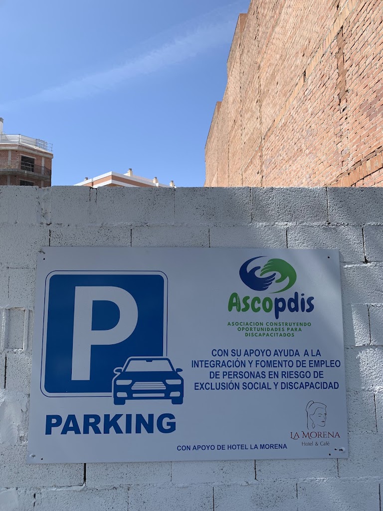 Ascopdis — Signo