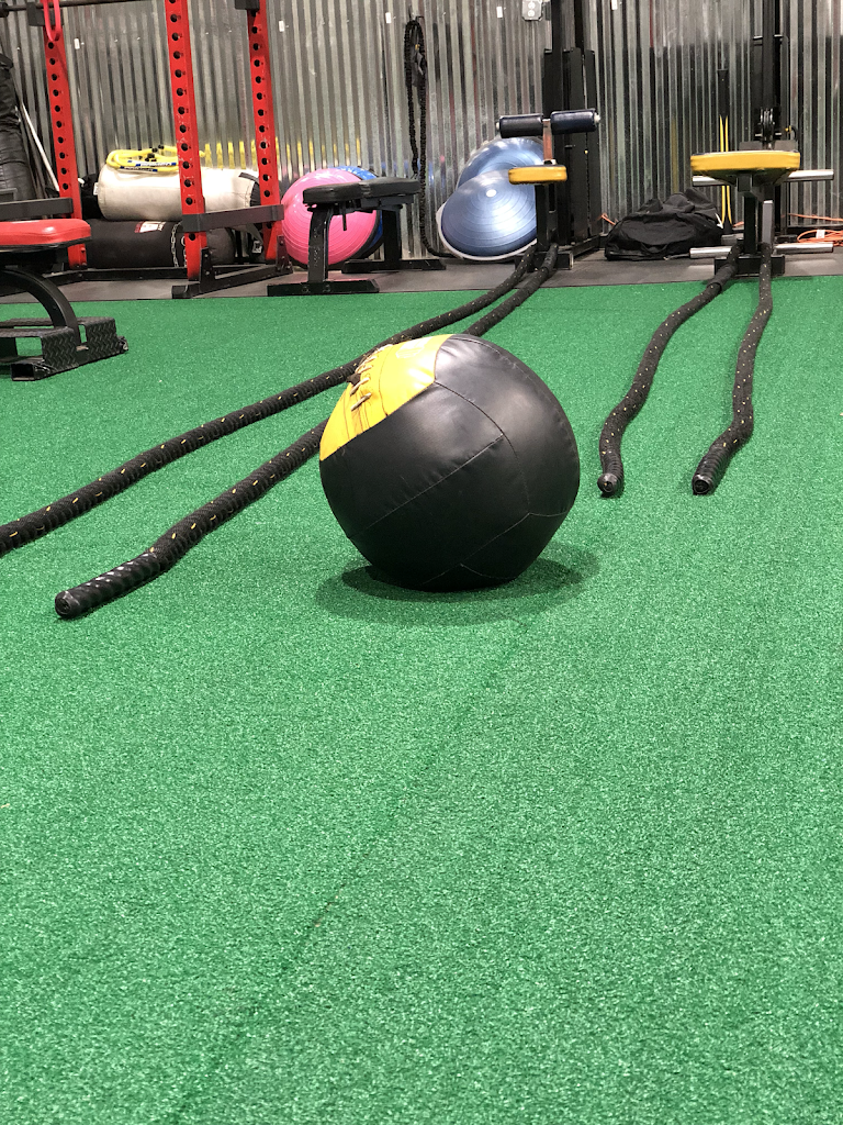  Pro1 Training+Fitness