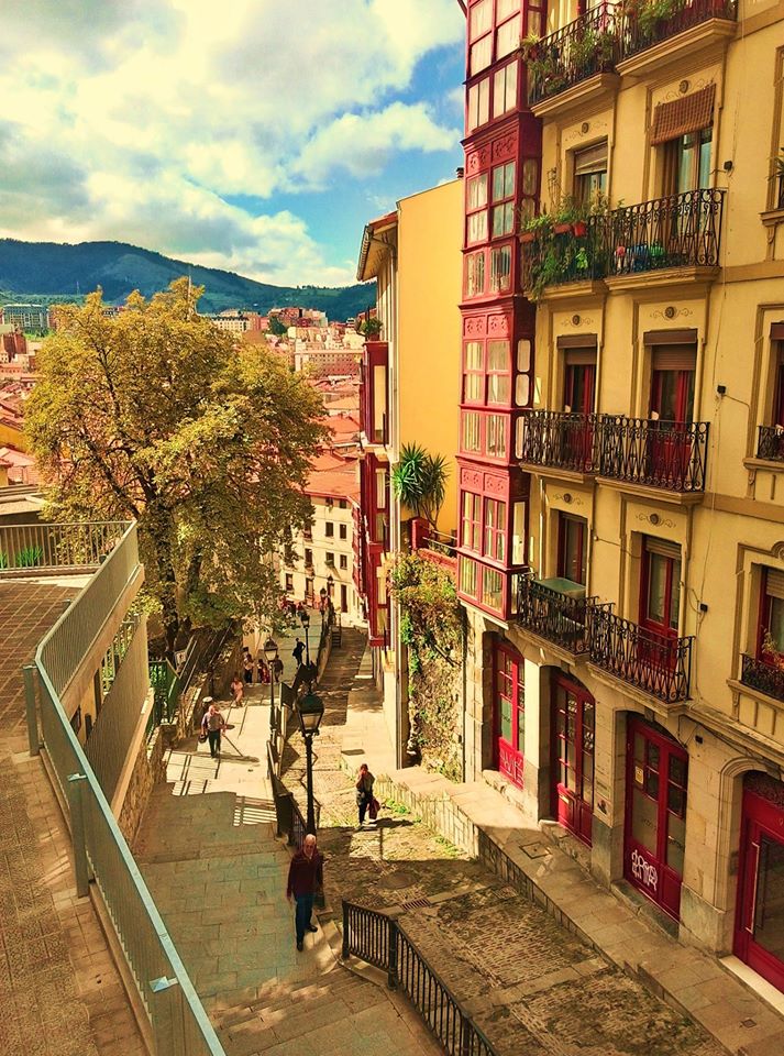 LINCE - Spanish School