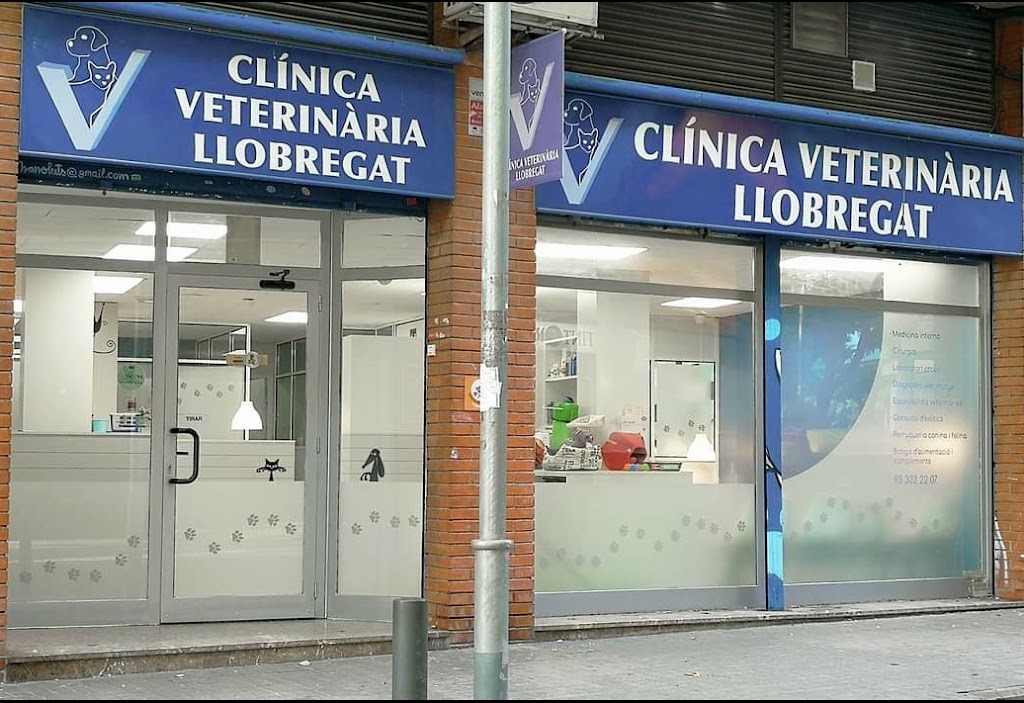 Centro Animal Can & Felis — Del propietario