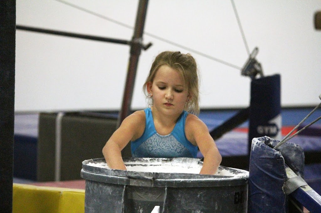  Sarasota Gymnastics Academy