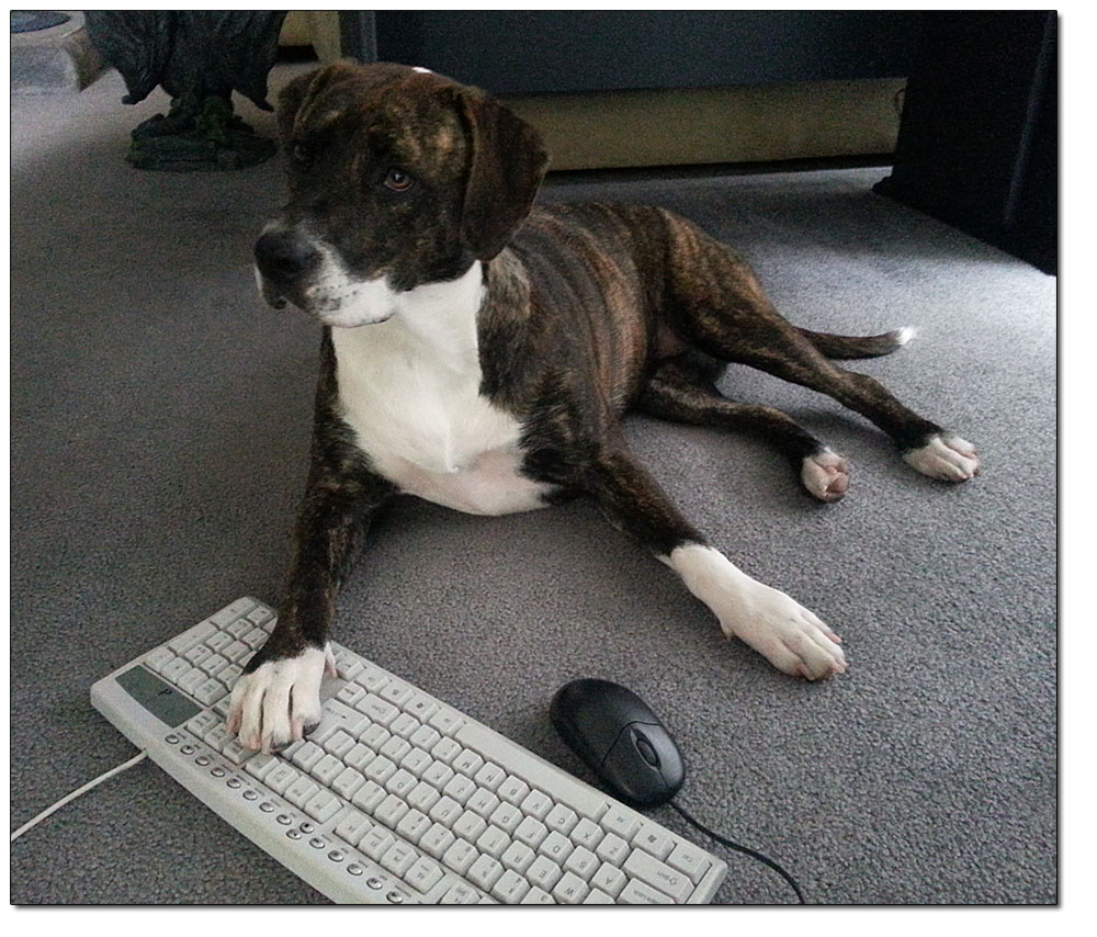 One Stop Tech Shop, Inc. | Custom Website Design and SEO Services