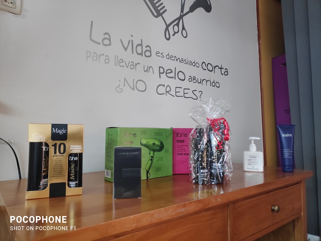 Peluqueria Mixta Alfonso — Interior