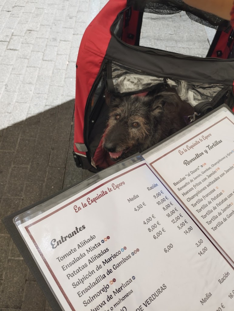 Restaurante La esquinita te espero — Carta