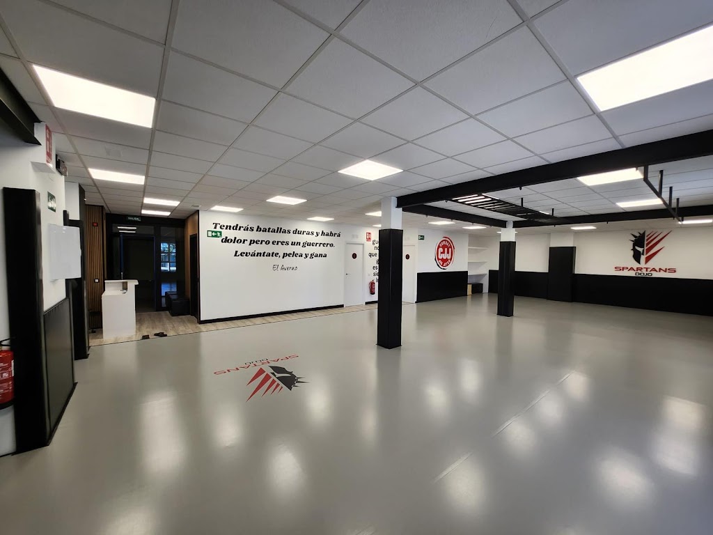 SPARTANS DOJO MADRID — Mas recientes