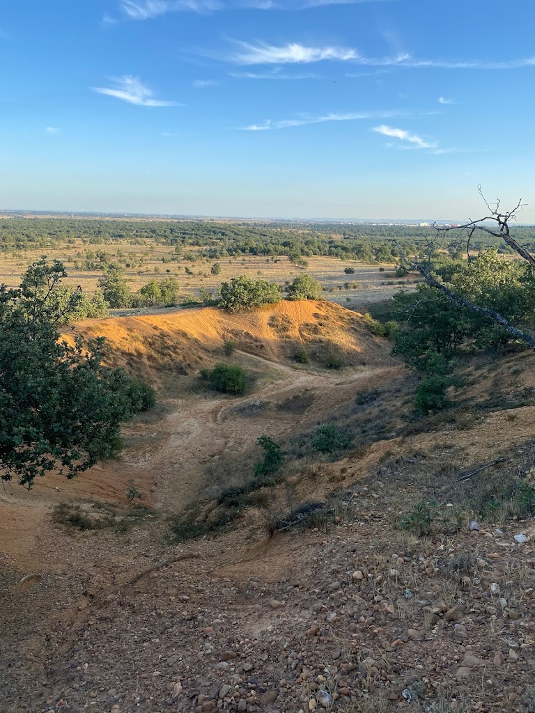 El monteo