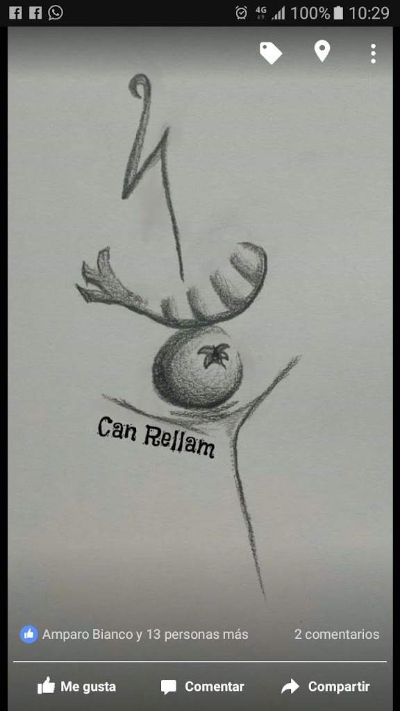 Espai Can Rellam — Del propietario