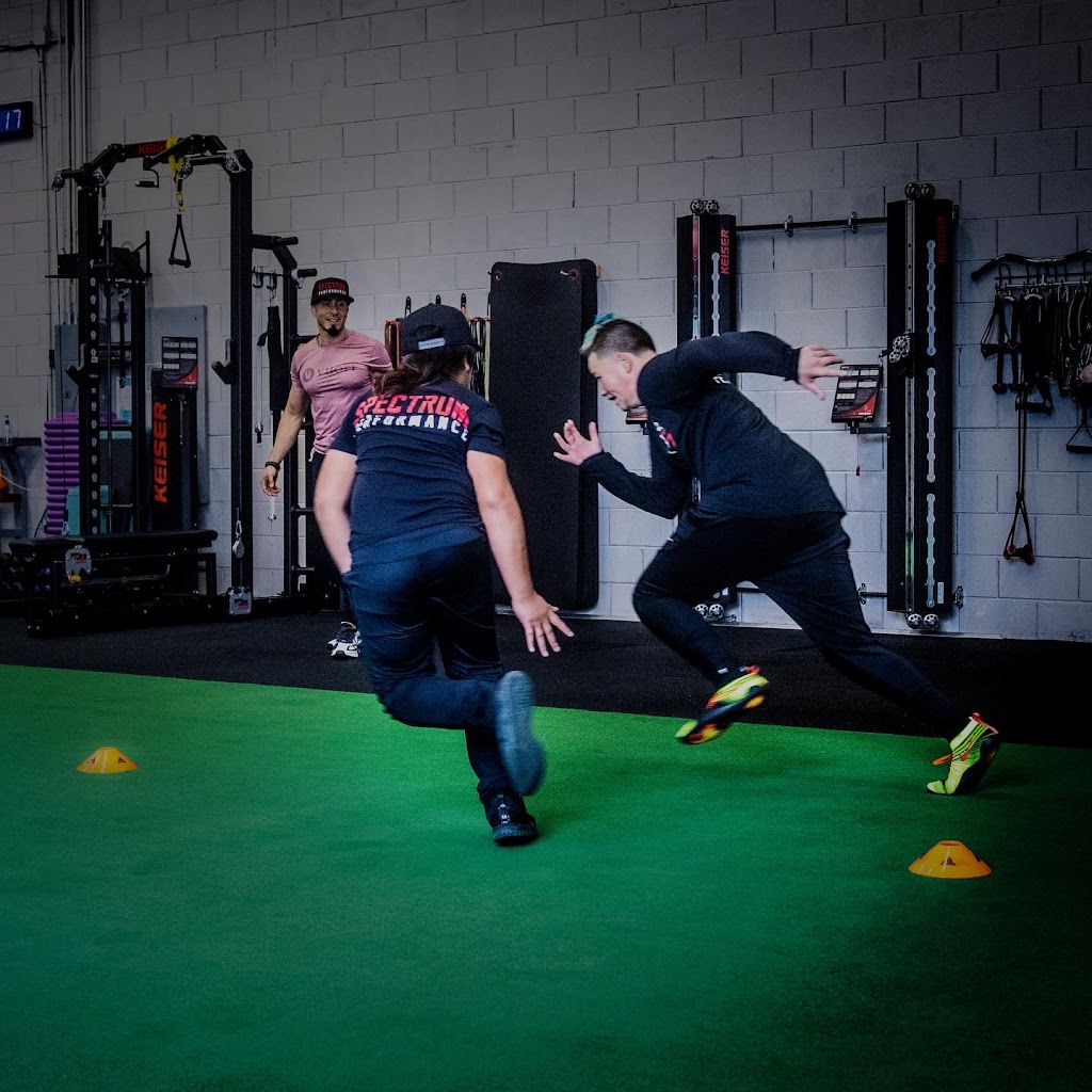  Spectrum Performance