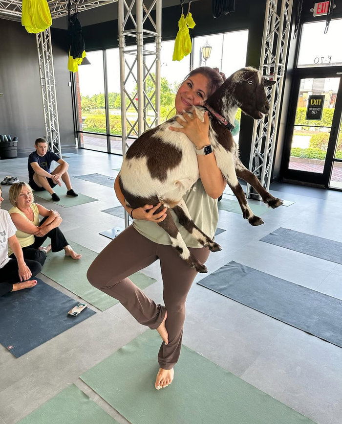  Goat Yoga Chicago - South Barrington, Illinois