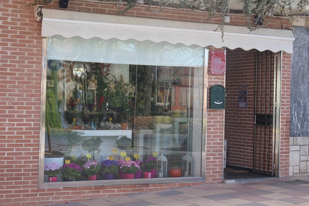 Floristeria David Calleja