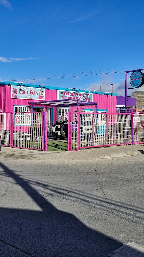 Dulce Pet´s. El Market de tu Mascota en Punta-Arenas