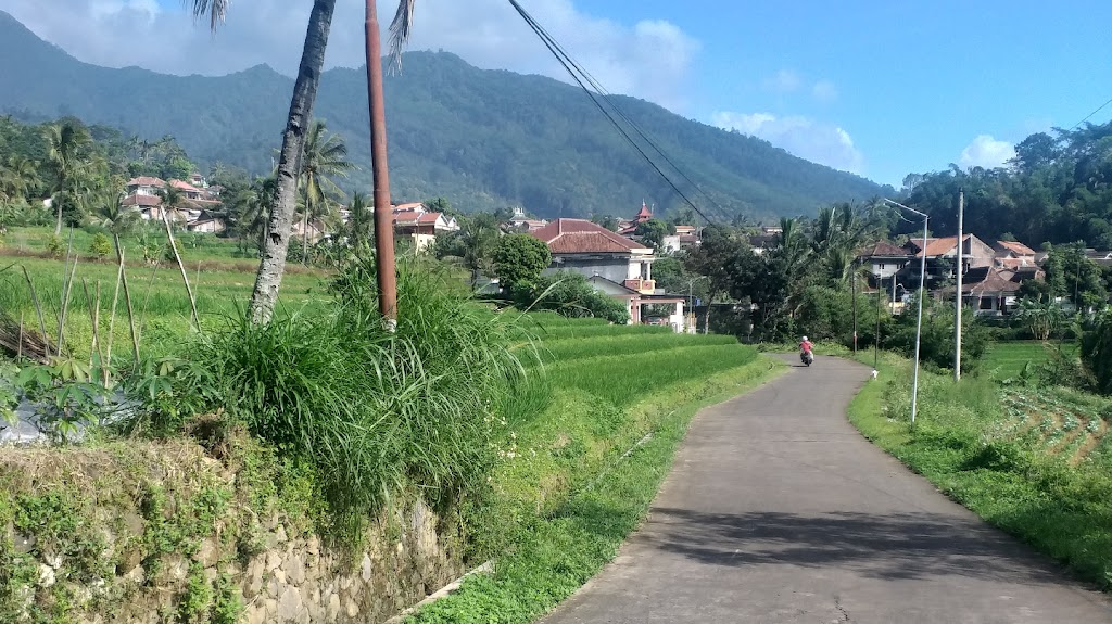 Tent rental - camping gear