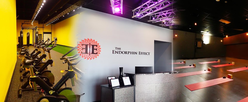  The Endorphin Effect