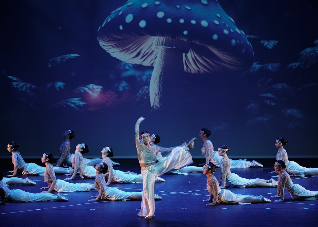 Estudio de Danza Ana Lara Dantza Eskola