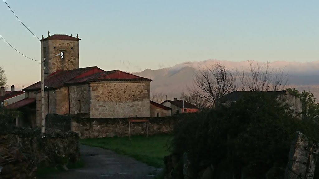 Pinedas - Molinillo