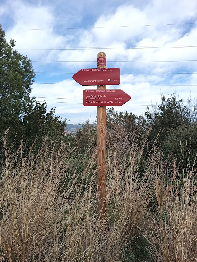 Puig de la Verdera