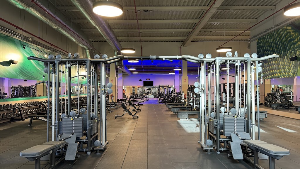 Dreamfit | Gimnasio Mostoles