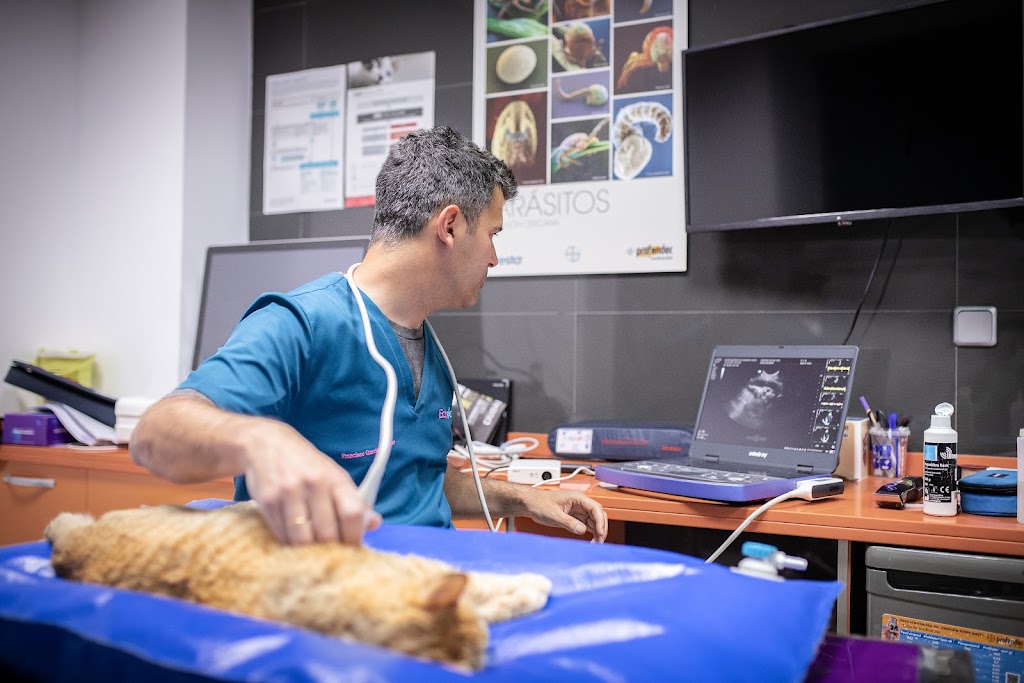 EcoPet Veterinaria Sevilla