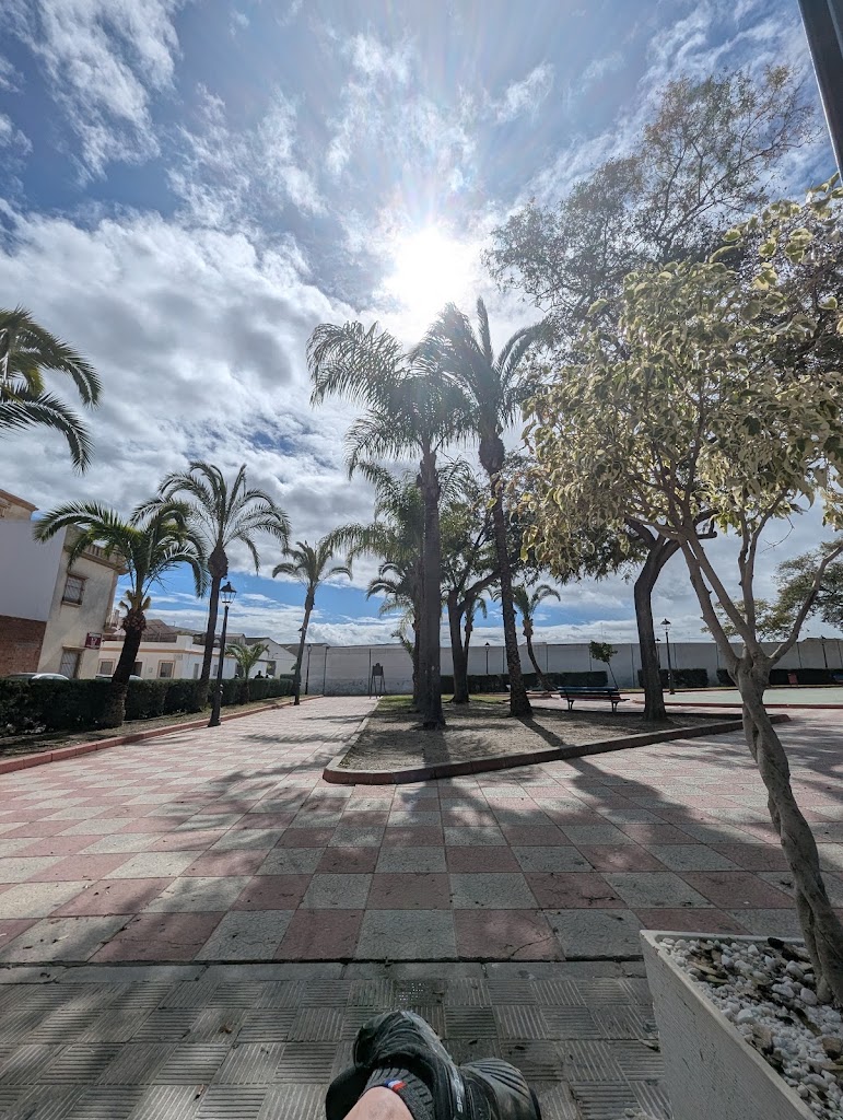 Cafeteria Pub Calusa — Mas recientes