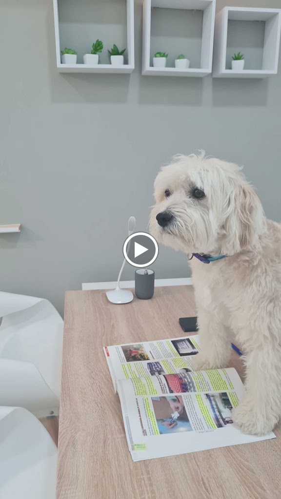 Clinica Veterinaria del Mar — Videos
