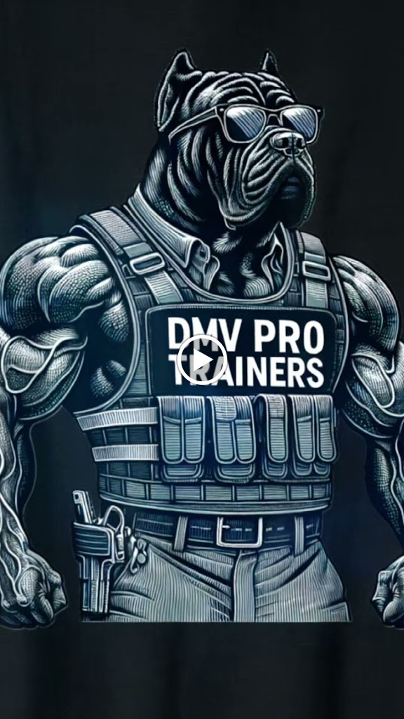  DMV PRO TRAINERS