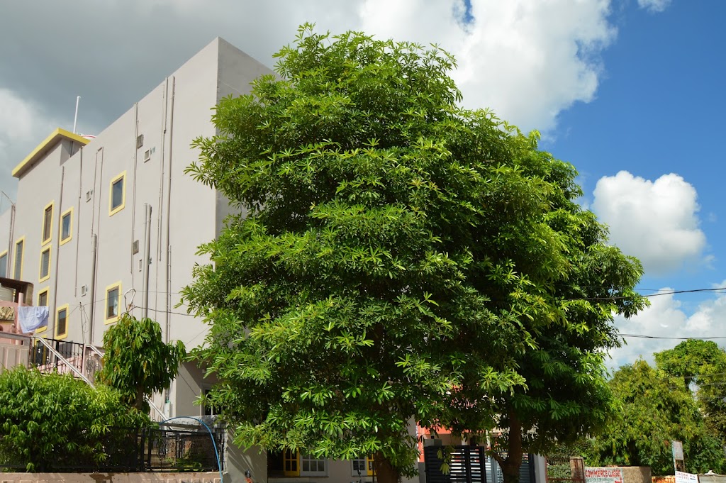 Hotel Zen Rooms Alwar
