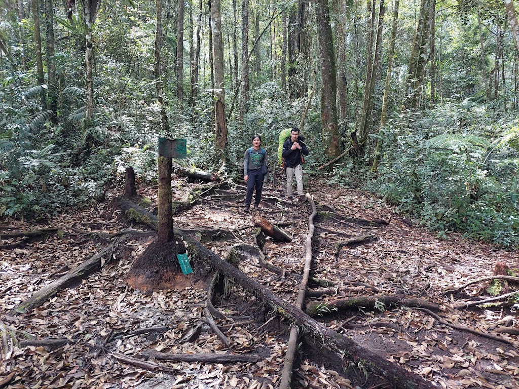 Shelter 2 - Gunung Sibuatan