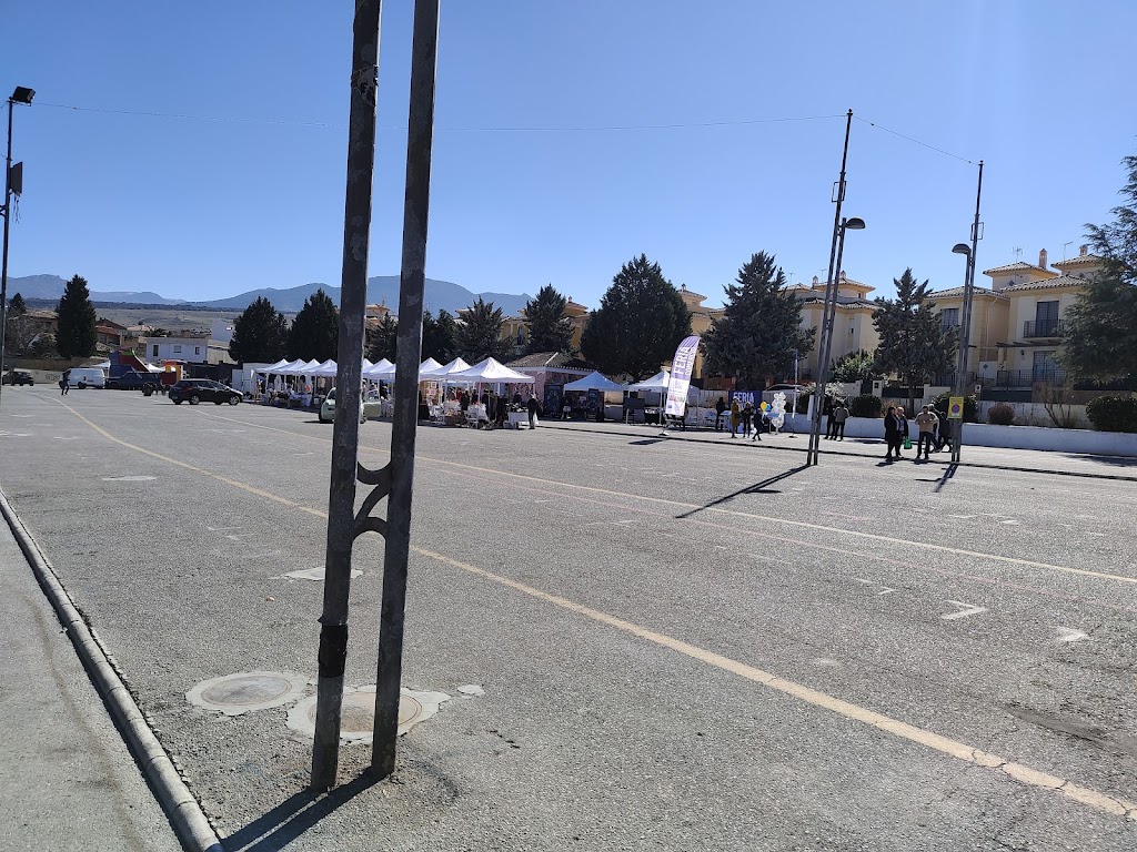 Recinto Ferial de La Zubia