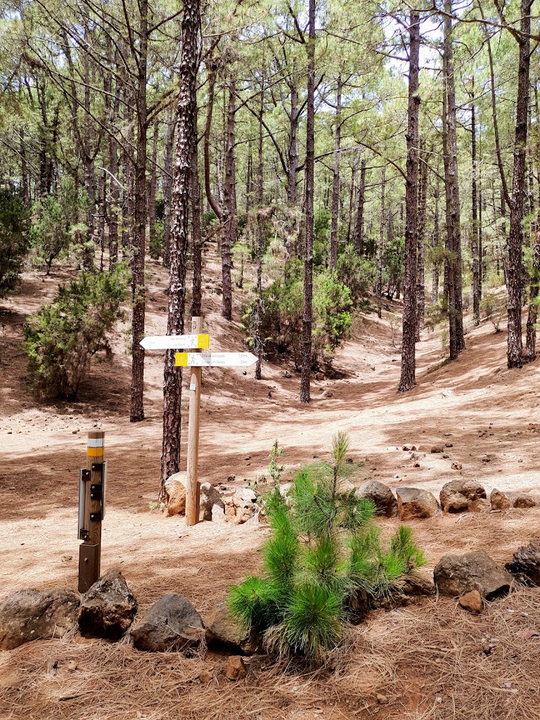 Sendero Circular Las Raices