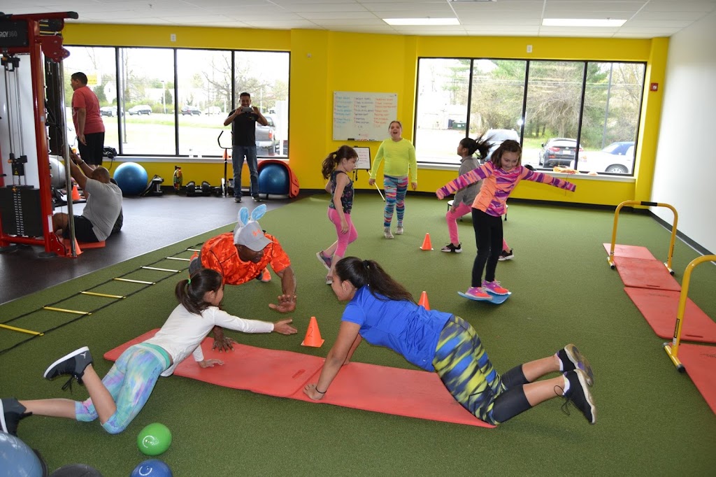  Brown Hornet Fitness