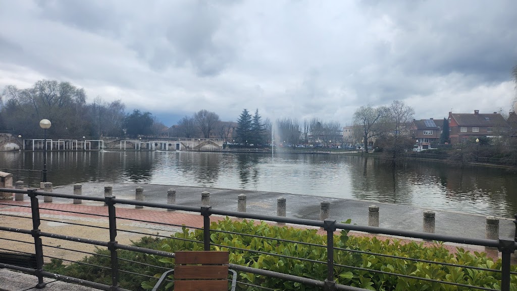 La Laguna — Mas recientes
