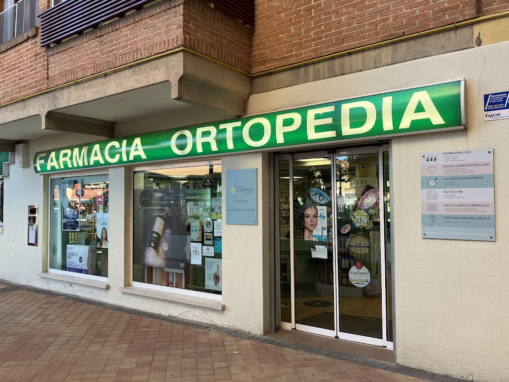 Del Campo Campos Cristina