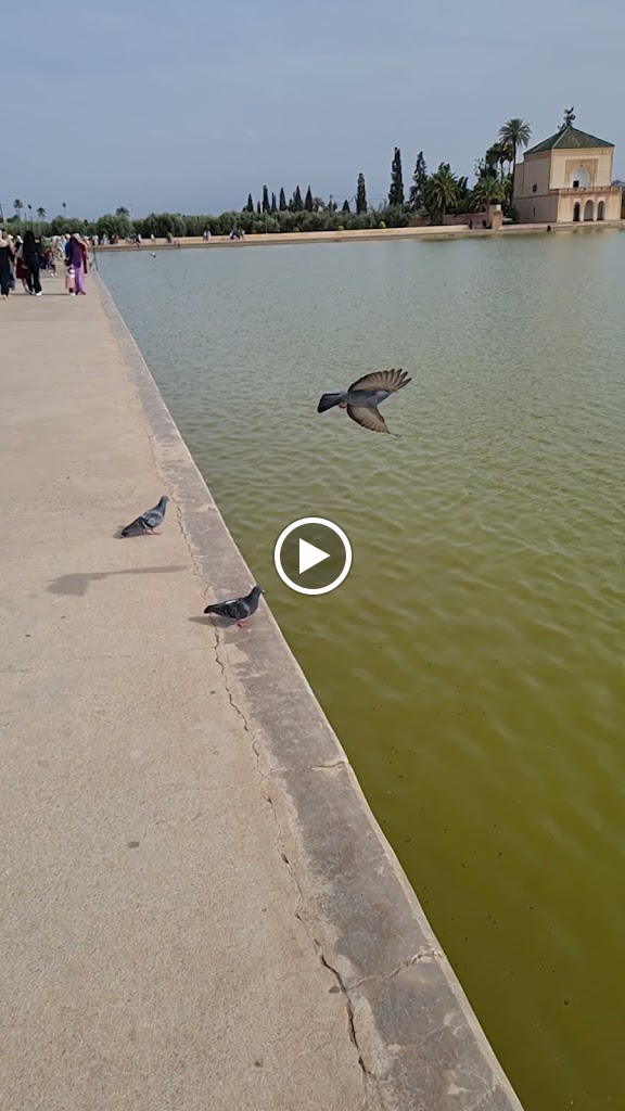 La Menara Marrakech — Videos