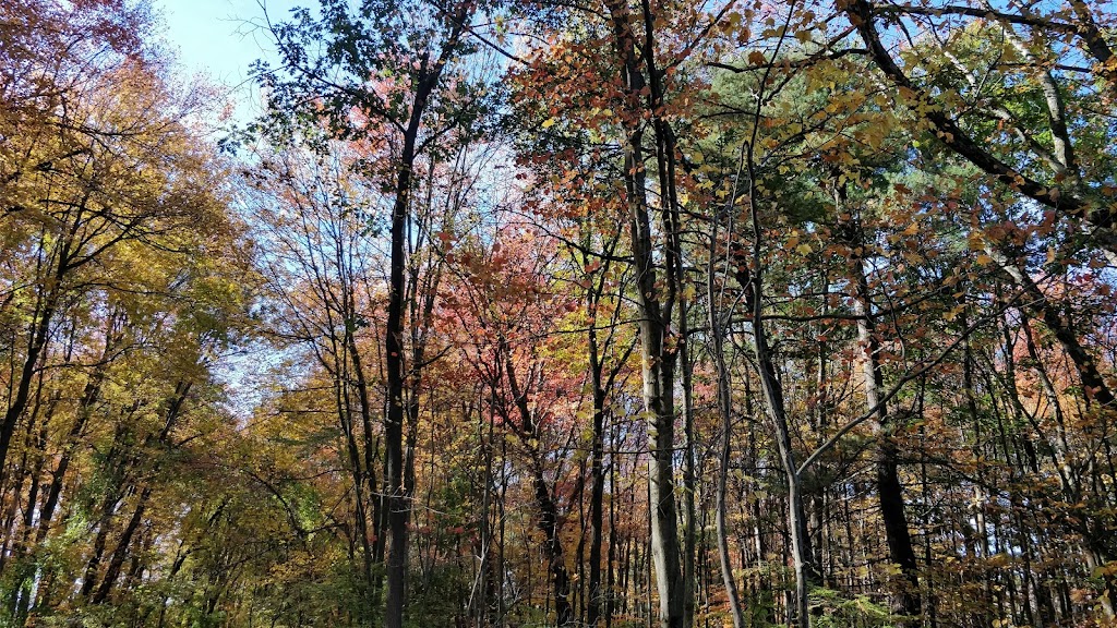 Golf club in Amherst