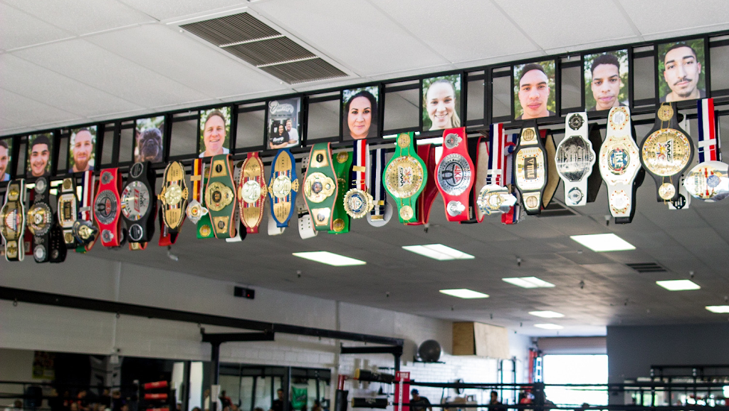  Dan's Gym Boxing, Muay Thai & Fitness