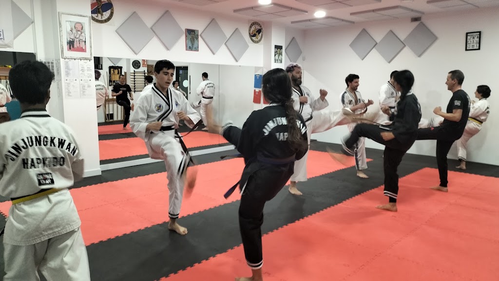 Jin Jung Kwan Hapkido - Dokssuri Dojang Arroyomolinos — Del propietario