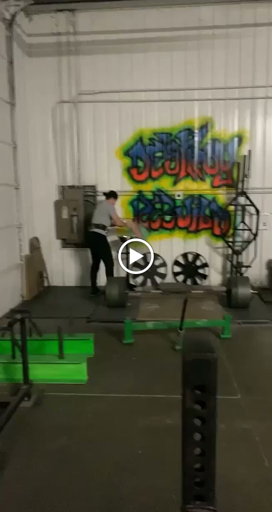  Alpha Evolution Fitness & Training, LLC