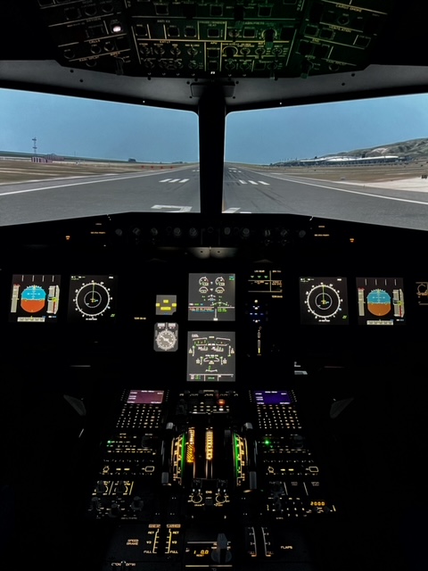 Hangar 10 - Simulador B737 y A320