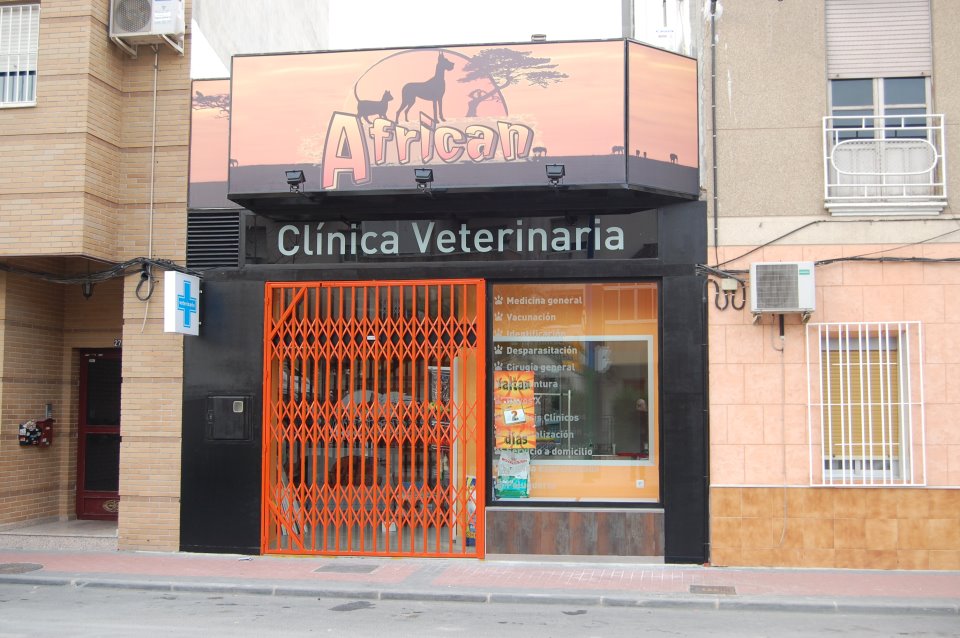 African Clinica Veterinaria — Del propietario