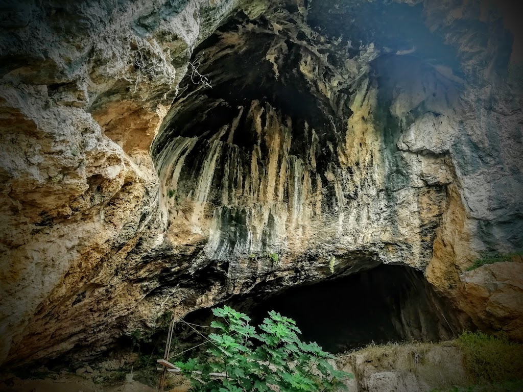 Paraje de La Cueva Negra