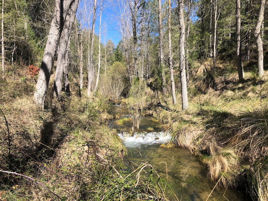 Fuente de las Especias
