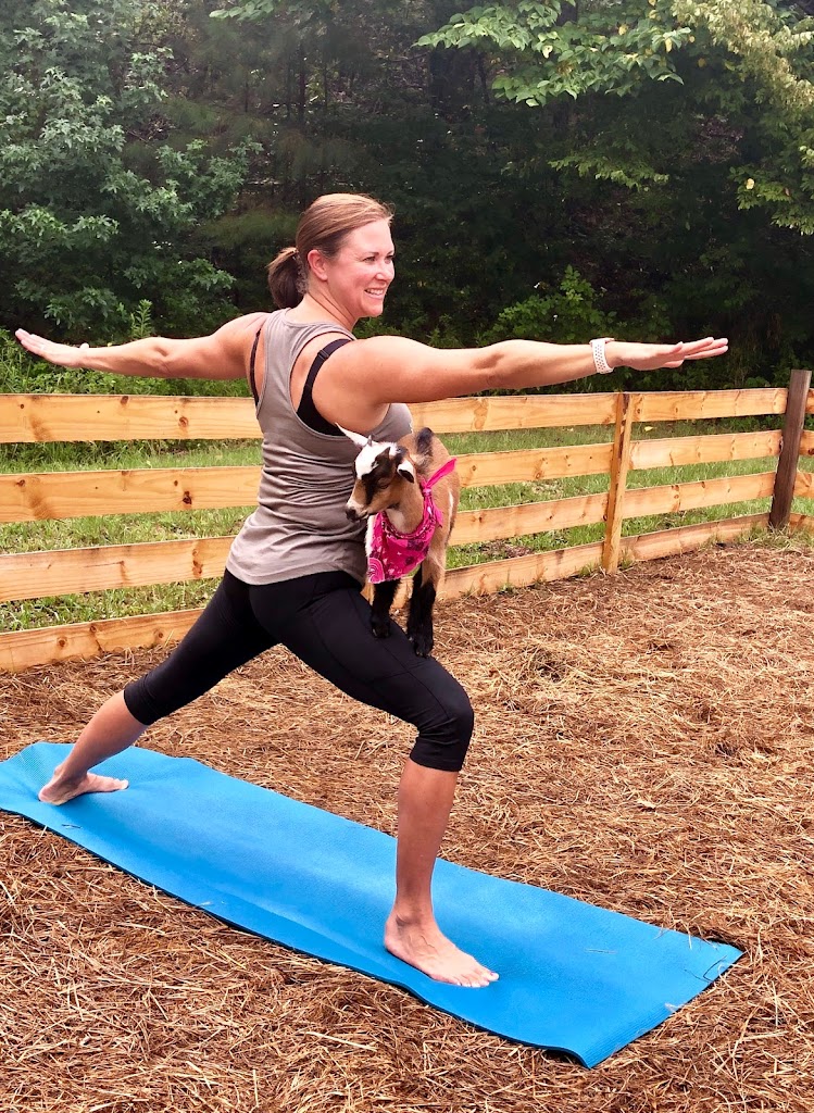  Goat Yoga Bham