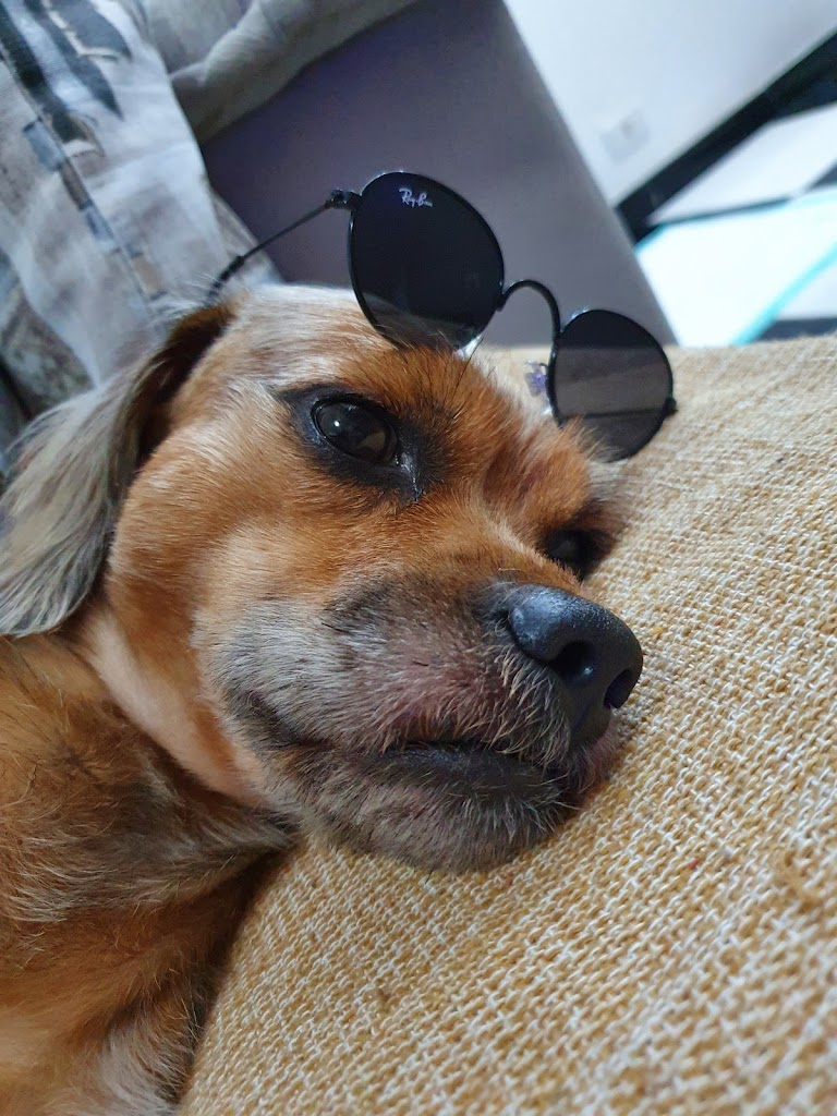 Foto da avaliação