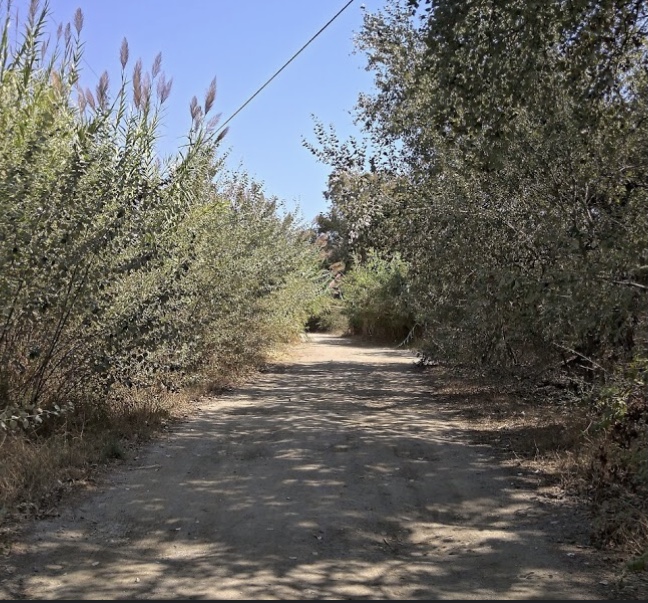 Sendero Fluvial Rio Fuengirola