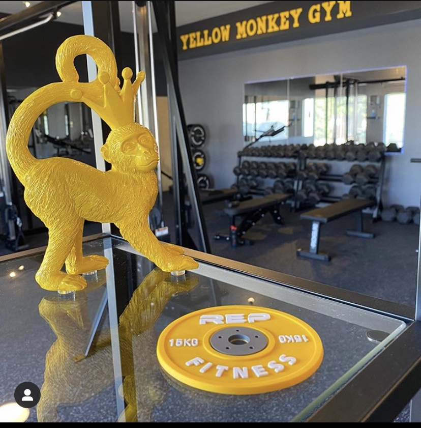 Yellow Monkey Gym