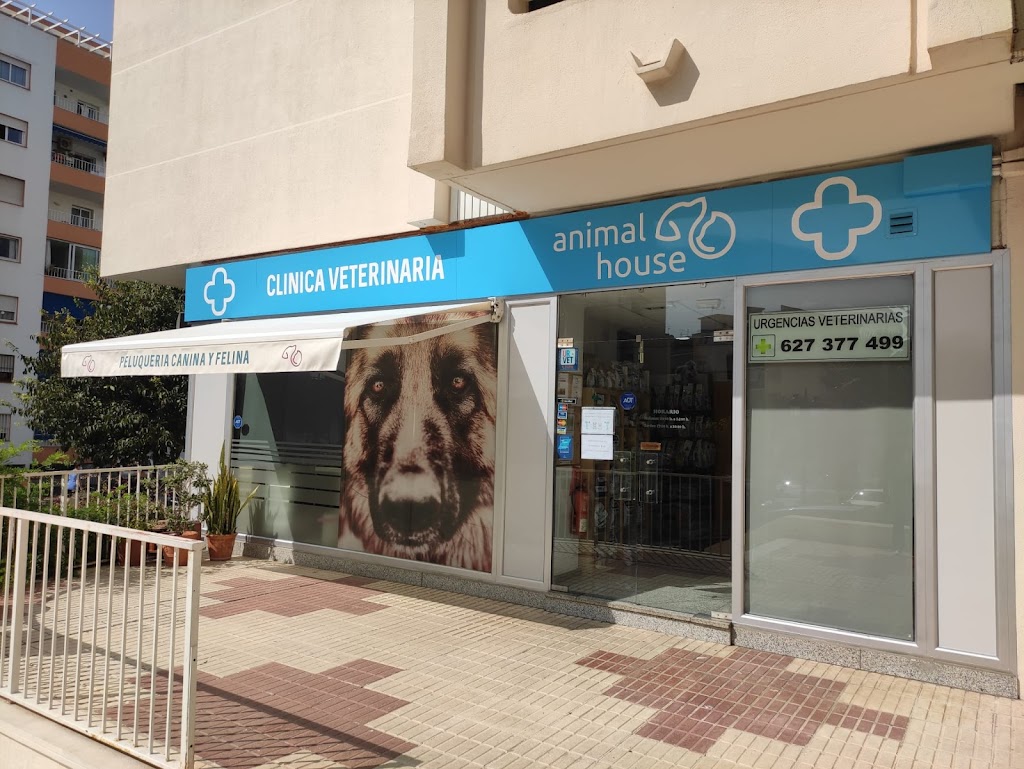 Clinica Veterinaria Animal House