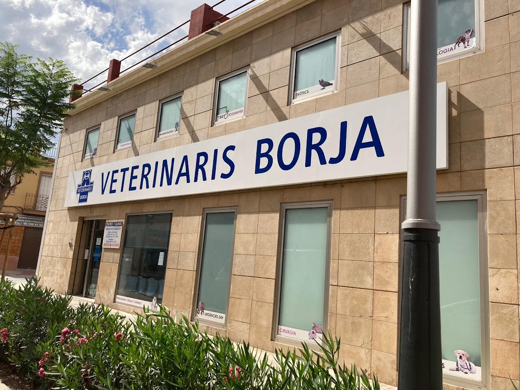Veterinaris Borja | Urgencias 617324983 Especialistas Cirugia y Traumatologia