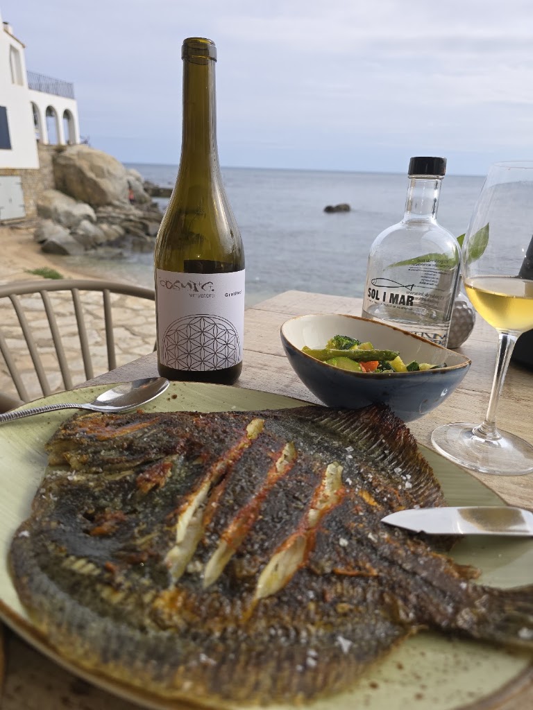 Sol i Mar Calella — Mas recientes