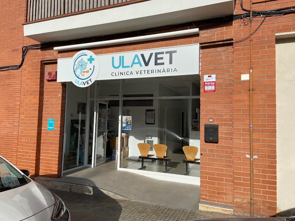 ULAVET Clinica Veterinaria — Del propietario
